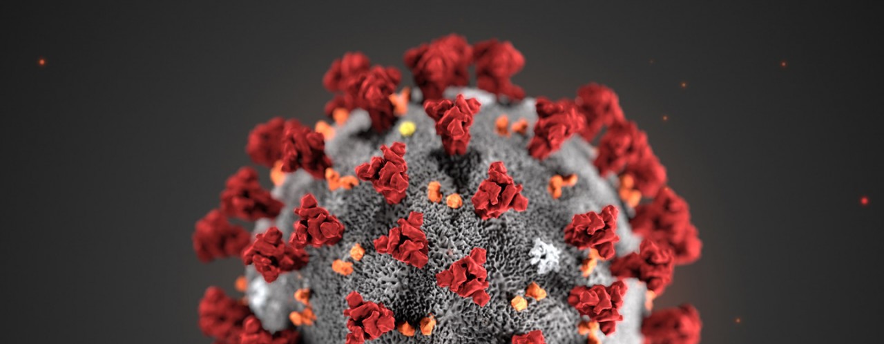 coronavirus picture